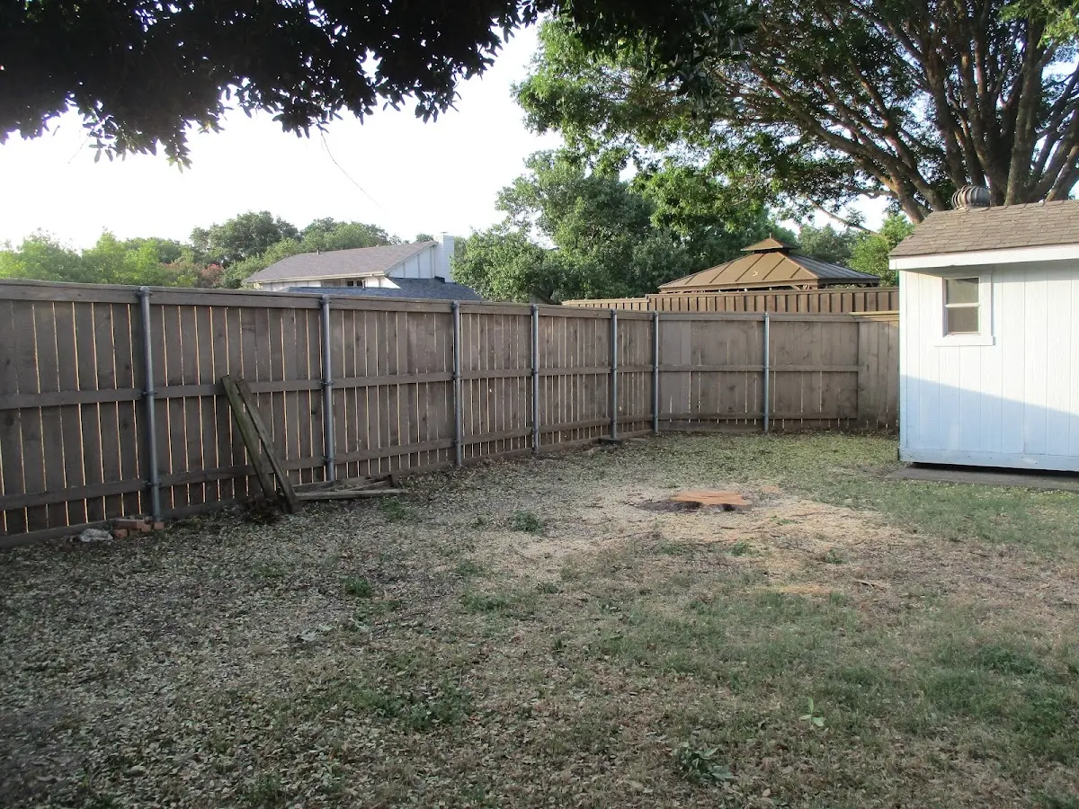Cleared yard after professional tree removal in Hammonton