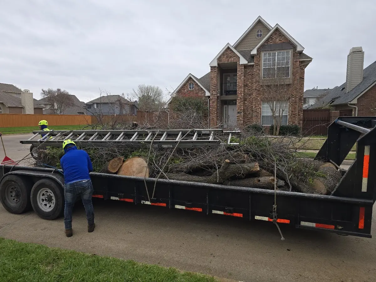 Expert Lot Clearing with proper safety equipment in Hammonton